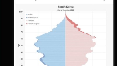 일론 머스크 한국은 망하고 있다